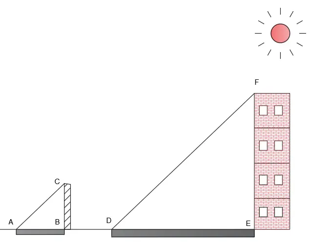 measure the height of a building by using the shadows